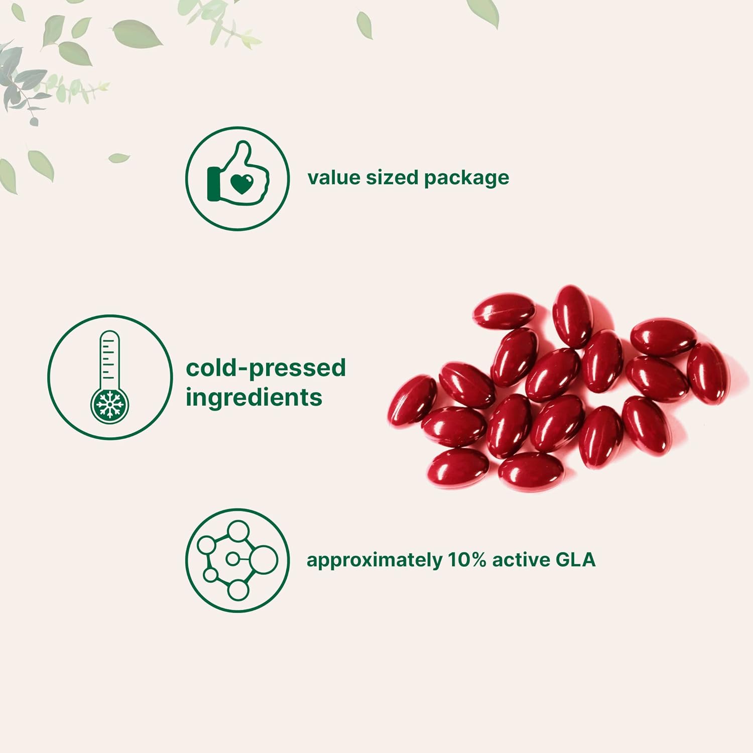 Micro Ingredients Evening Primrose Oil 1300mg Per Serving, 240 Softgels - Image 3